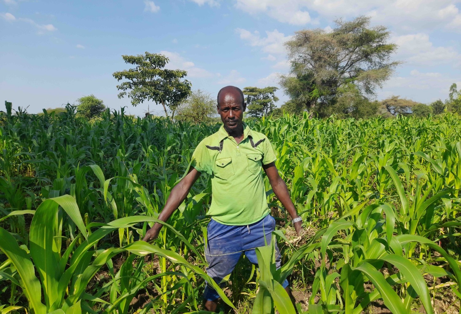 በግብርና ኢንቨስትመንት (Agriculture Investment)