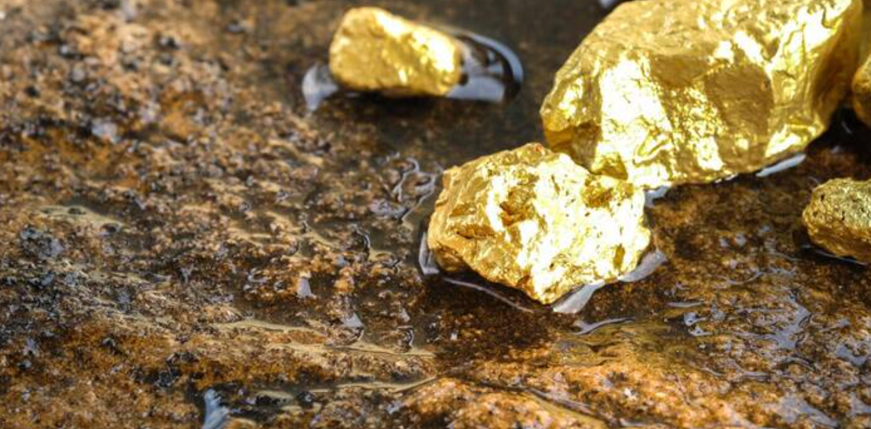 በማዕድን ኢንቨስትመንት (Mining Investment)